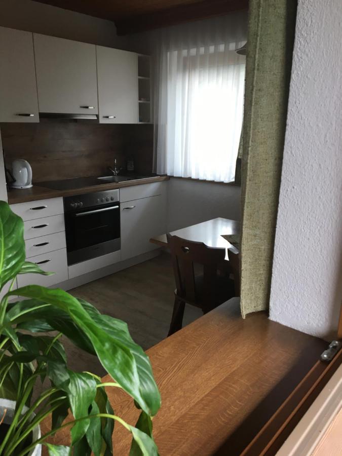 Appartement Landhaus Theresia à Fügen Extérieur photo